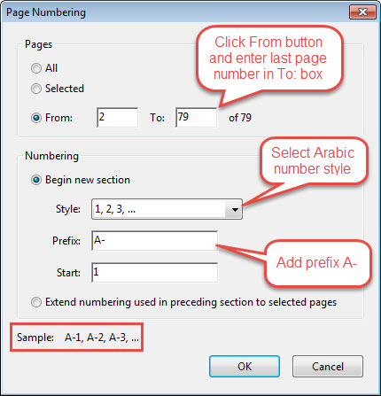 Page numbering dialog box