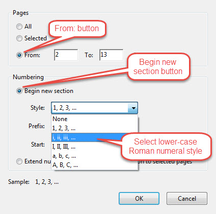 Page numbering dialog box